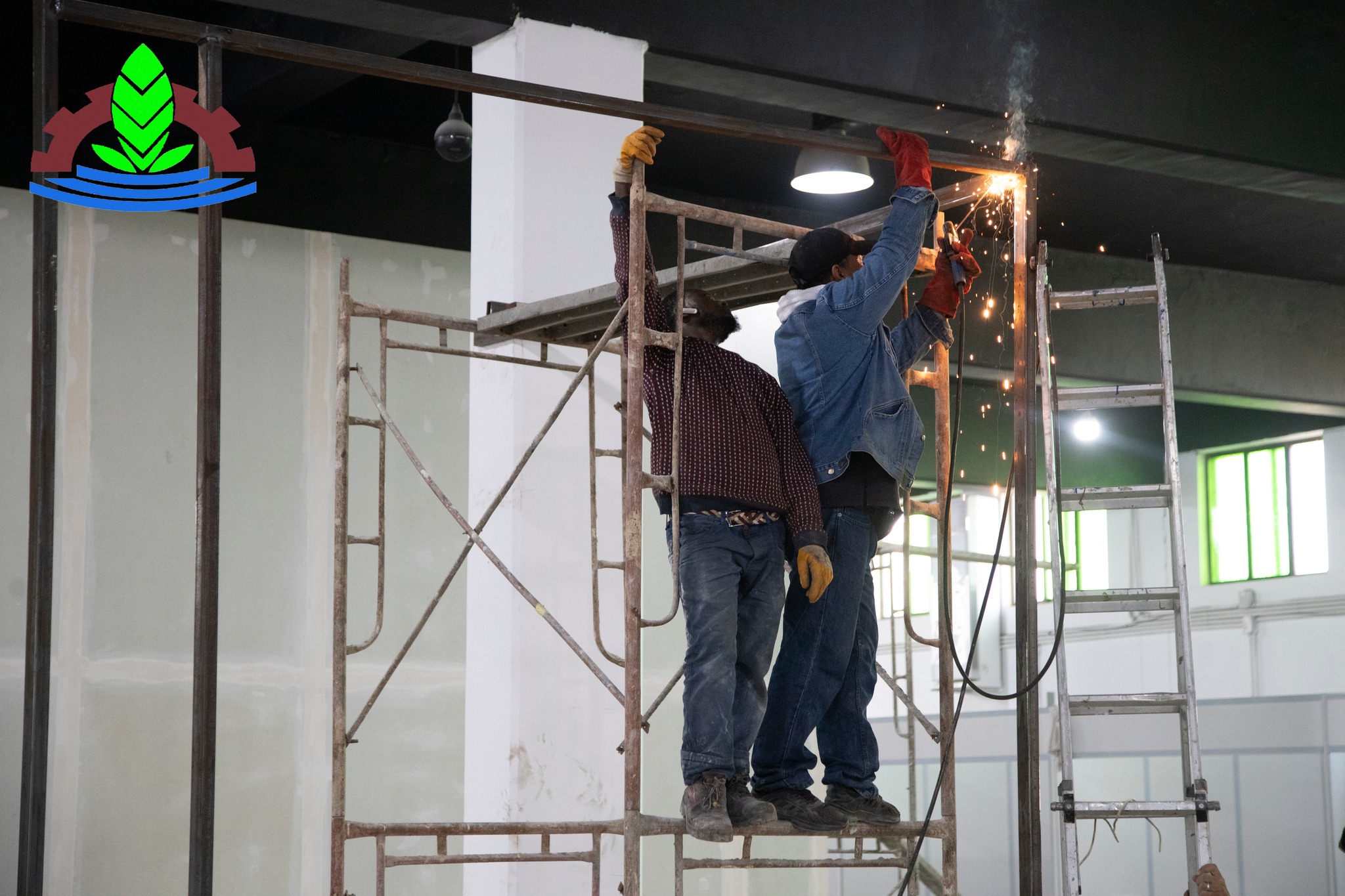 Creation of the Libyan Tunisian exhibition